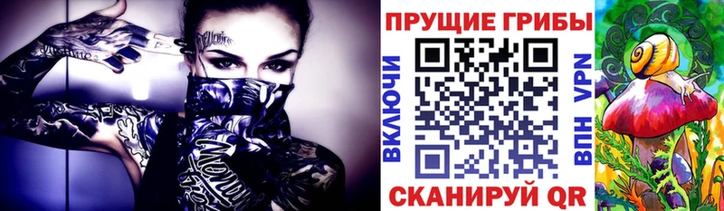 Псилоцибиновые грибы ЛСД KRAKEN ONION Медногорск